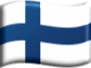 FIN